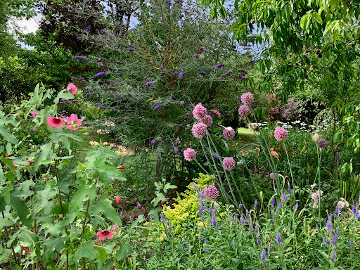 Mireille en Lot-et-Garonne Garden - Thumbnail