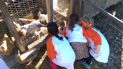 Photos of Hee Haw Farms