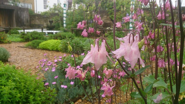 Tudor House & Garden