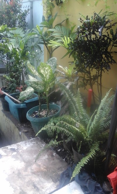 Photos of Blok. M