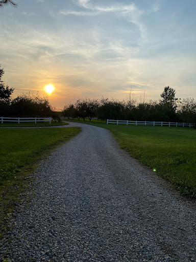Bradshaw Farms 4U
