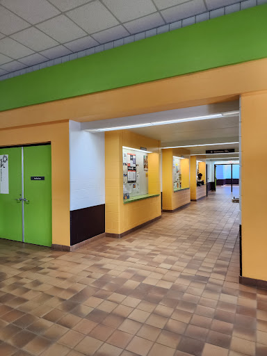 Rusty Macdonald Library - Visual