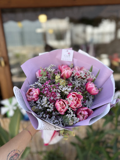 Bodrum Gaia Plant Co.