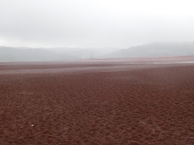 Photos of WINDALCO Residual Lake