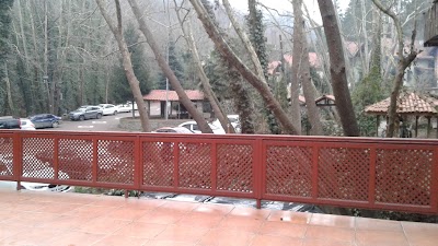 Photos of Basdegirmen Alabalik Tesisleri