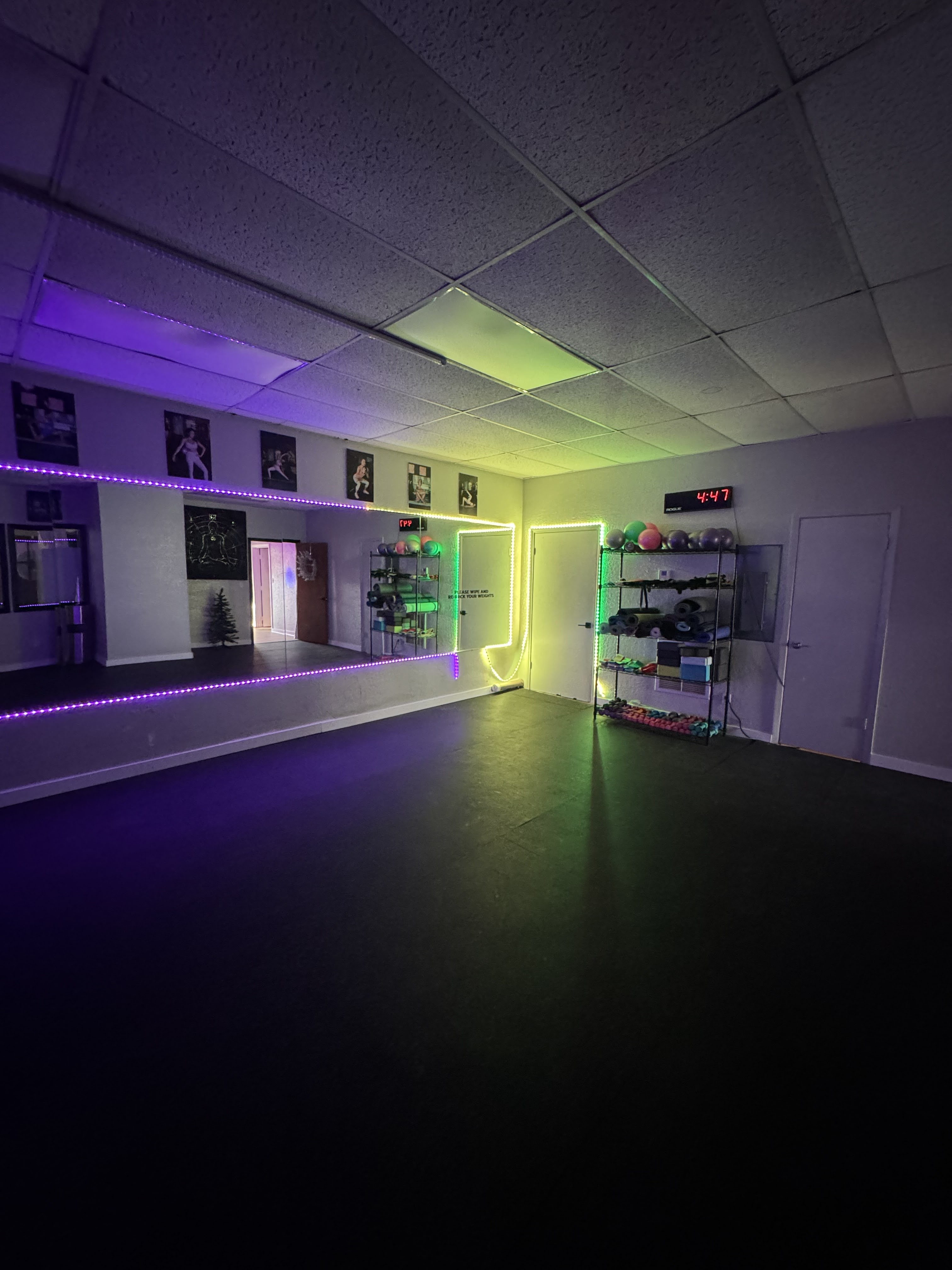 Sommer Sculpt photo 2