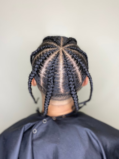 Virtuous Manes - Visual