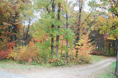 Greer lake Campground