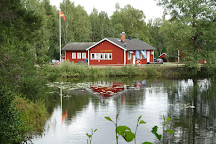 Glaskogens Naturreservat, Arvika, Sweden