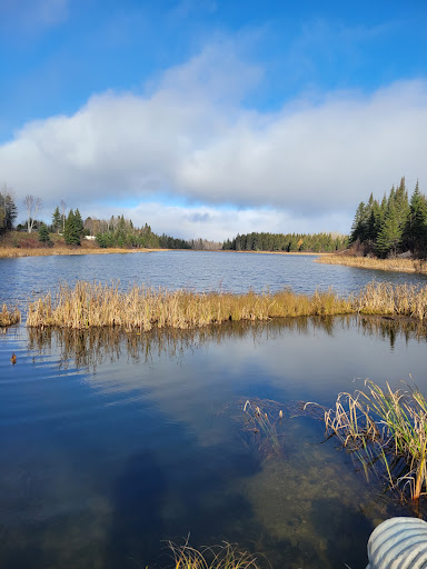 Taylor Lake RV Park - Thumbnail