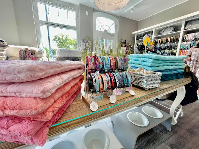 THE SALTYDOG COMPANY