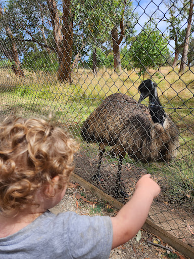 Fauna Park Playground