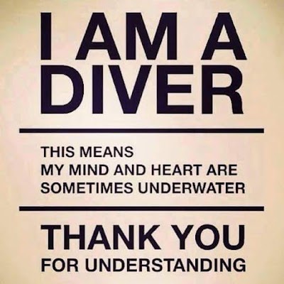 Photos of Palm Beach Diving Centre