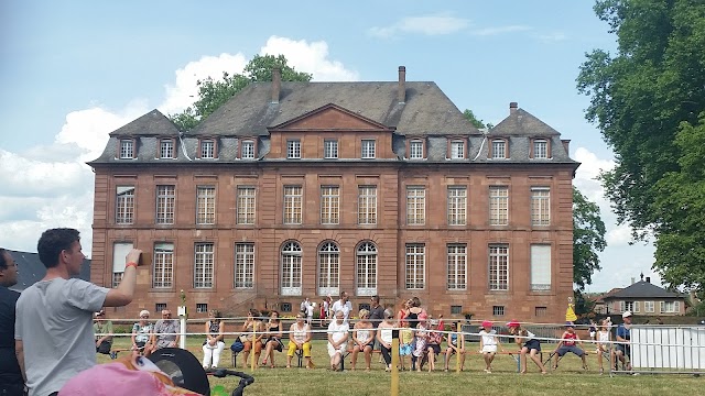 Chateau de Reichshoffen