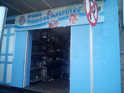 Photos of ACUARIO MUNDO MASCOTAS