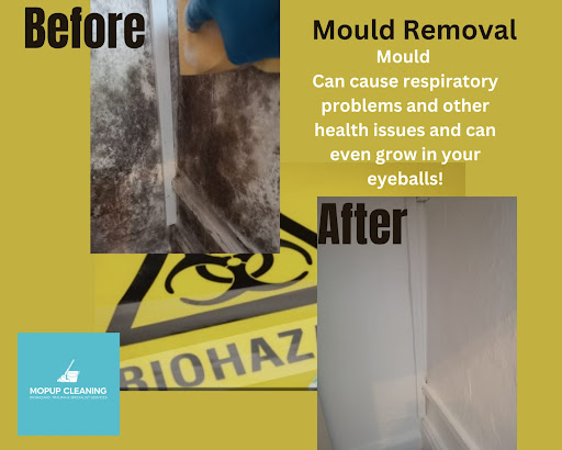 Mopup Cleaning - Visual