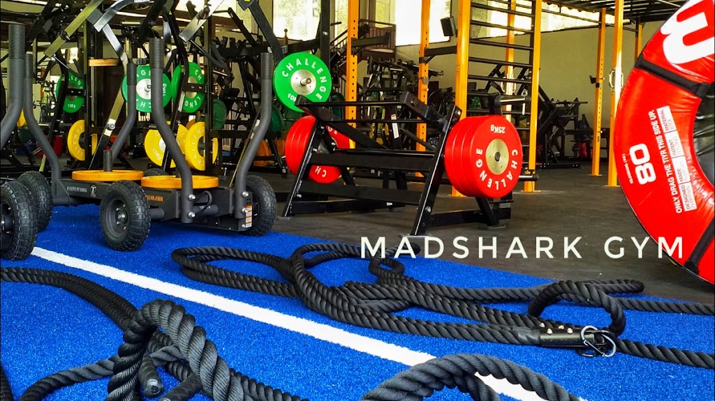 Madshark Gym