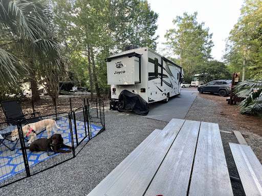 Disney's Fort Wilderness Resort & Campground Bus Stop 300 and 500