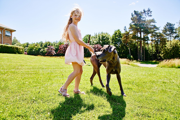 Danhostel Givskud Zoo by null