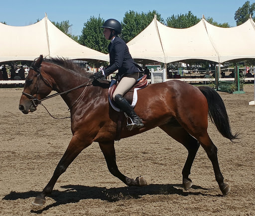 Brookside Equestrian Park - Thumbnail