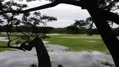 Photos of Kotuaththawala Bird Sanctuary