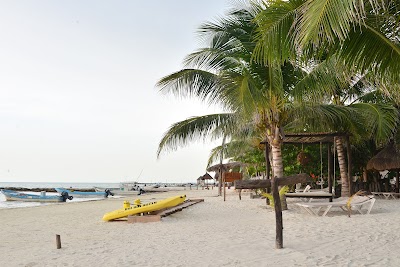 Photos of BEACH BAR LA PALAPA