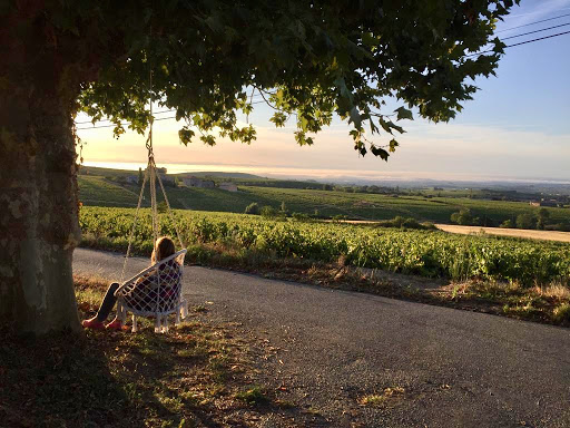 Photo de Domaine Lachat