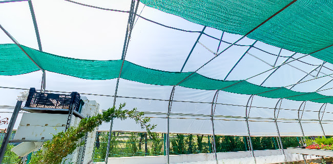 Samostalne satnije Briševo 169, 23000, Zadar
