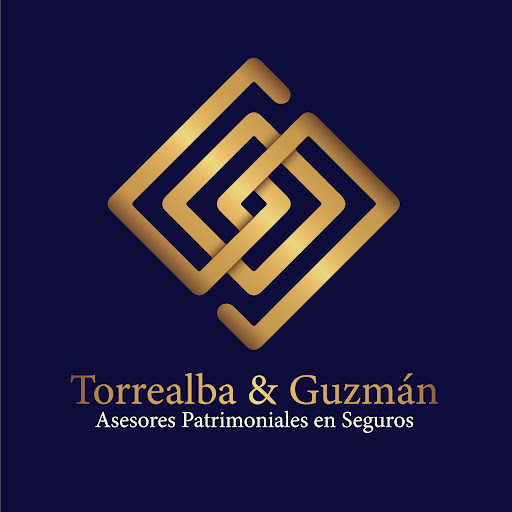 Asesores en Seguros Torrealba Guzman