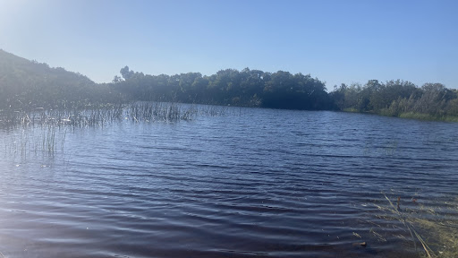 Millar Ranch Road Pond - Thumbnail