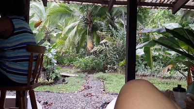Photos of Casa De La Musa