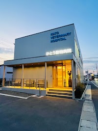 かとう動物病院