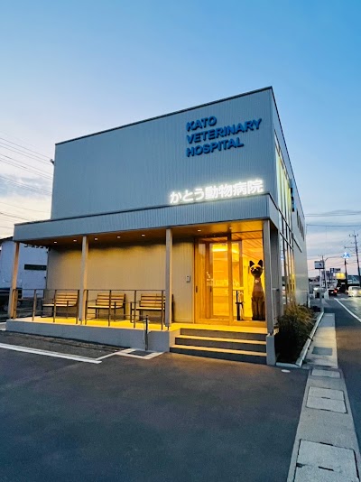 かとう動物病院