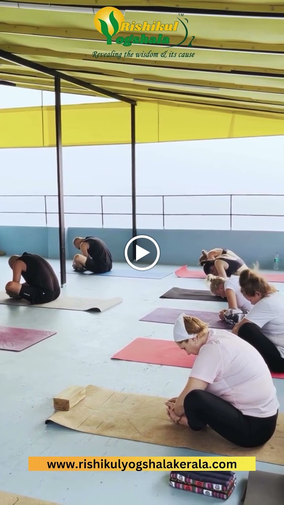 Yoga Ttc Kerala Rishikul Yogshala