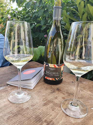 Weingut Bernard - Visual