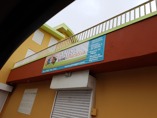 ANISA, Inc. Gallery - United States