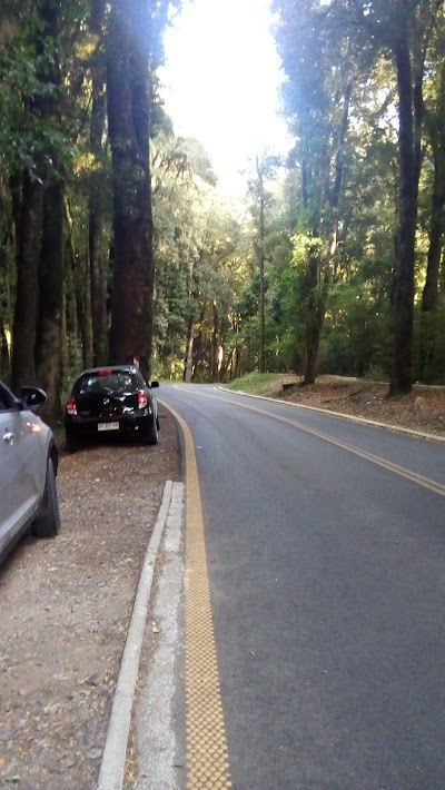 Photos of Camping de Colun, Puerto Nuevo, Lago Ranco