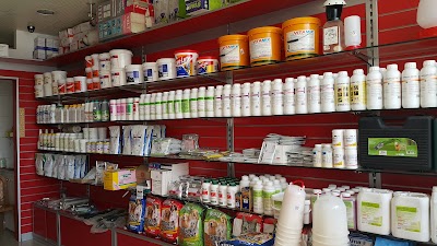 pharmacy