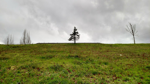 Moore Island - Visual
