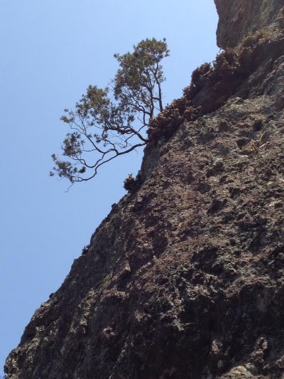 Photos of Seonunsan