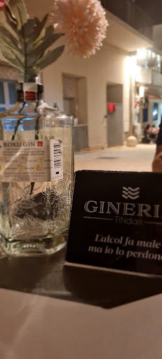 Gineria - Visual