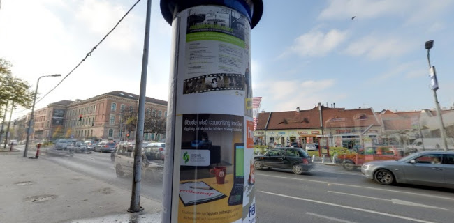 Értékelések erről a helyről: Megavet Állatpatika, Budapest - Állatorvos
