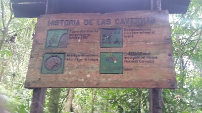 park