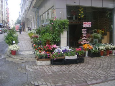 Photos of Watsons &Ccedil;iftlik
