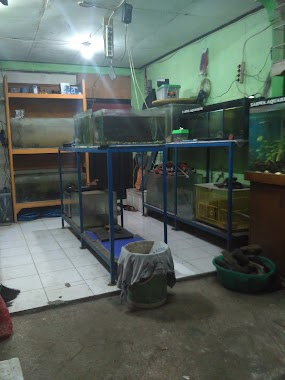 Zahwa aquarium, Author: Awan Terakhir