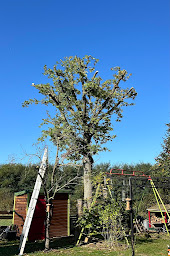 Photo n°9 de MAYER ELAGAGE à Mitry-Mory (Paysagiste)