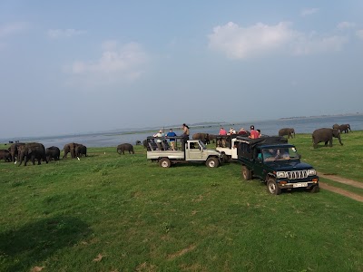 Photos of Kaudulla Safari