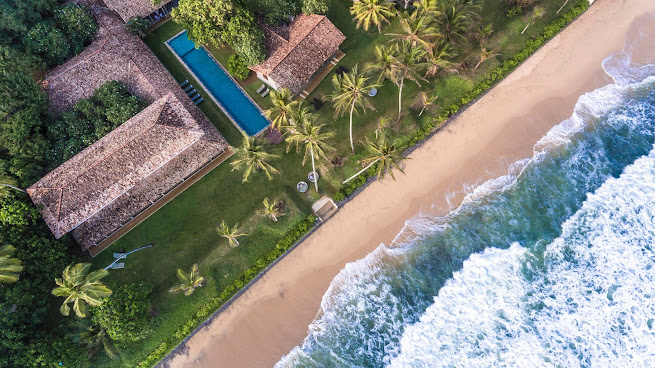 The Frangipani Tree by Edwards Collection by null