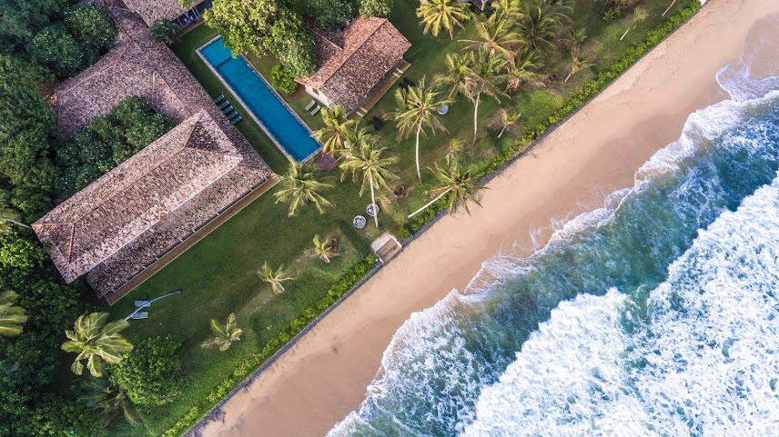 The Frangipani Tree by Edwards Collection by null