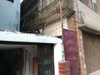 Photos of PAW Life Care